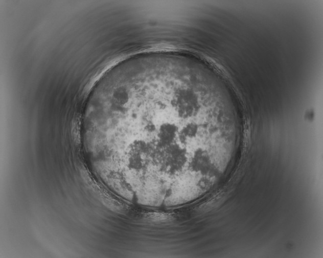 X0000116001409200912101306