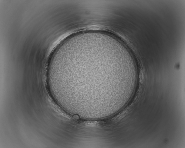 X0000116001410200912101306