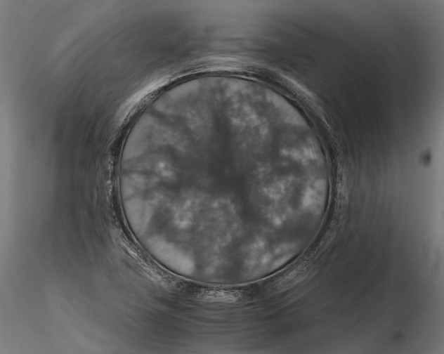 X0000116001411200912101306