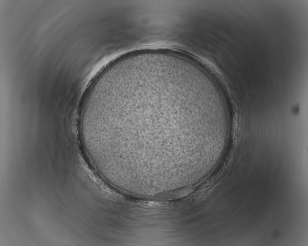 X0000116001412200912101306