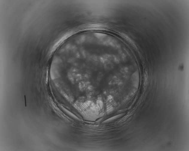 X0000116001413200912101306