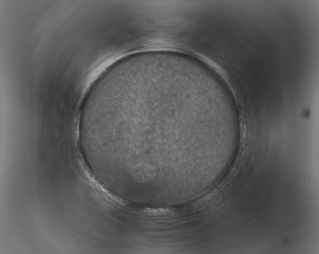 X0000116001415200912101306