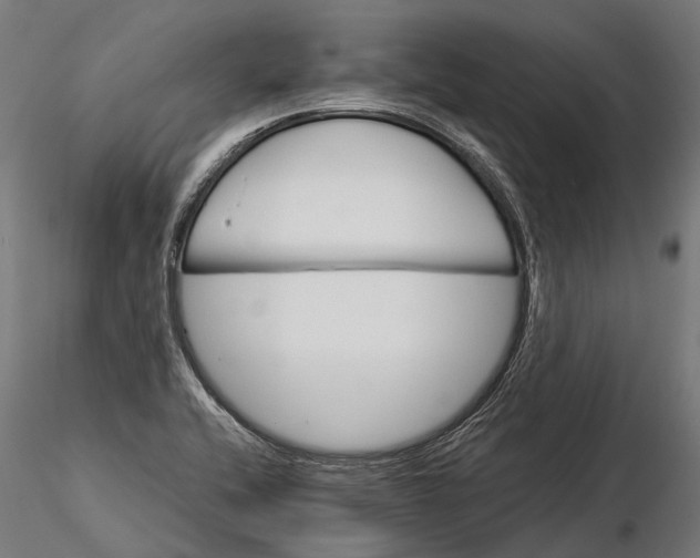 X0000116001416200912101306