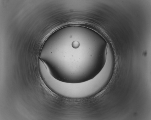 X0000116001417200912101306