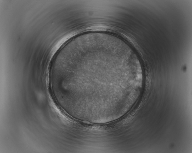 X0000116001418200912101306