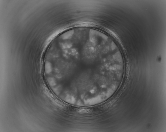 X0000116001419200912101306