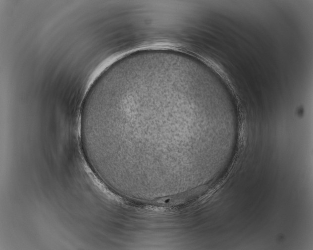 X0000116001420200912101306