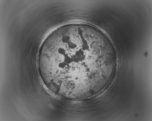 X0000116001421200912101306