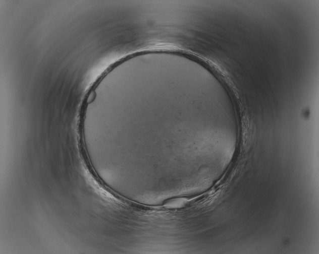 X0000116001422200912101306