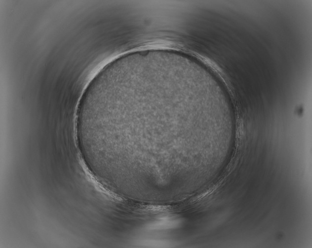 X0000116001423200912101306