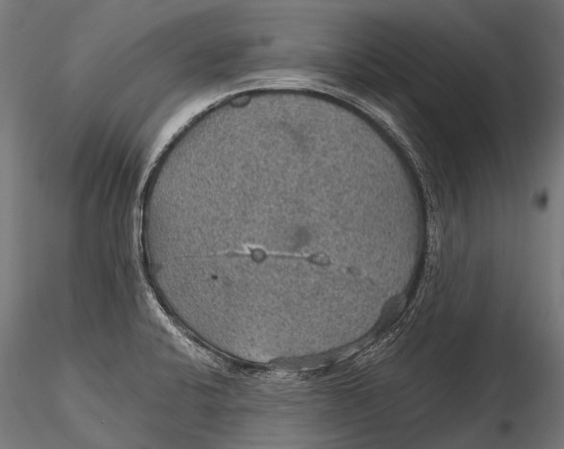 X0000116001424200912101306