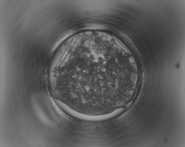 X0000116001425200912101306