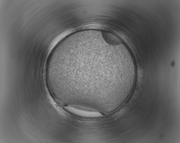 X0000116001426200912101306