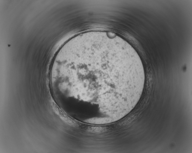 X0000116001427200912101306