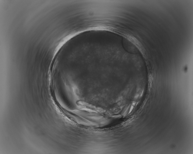 X0000116001428200912101306