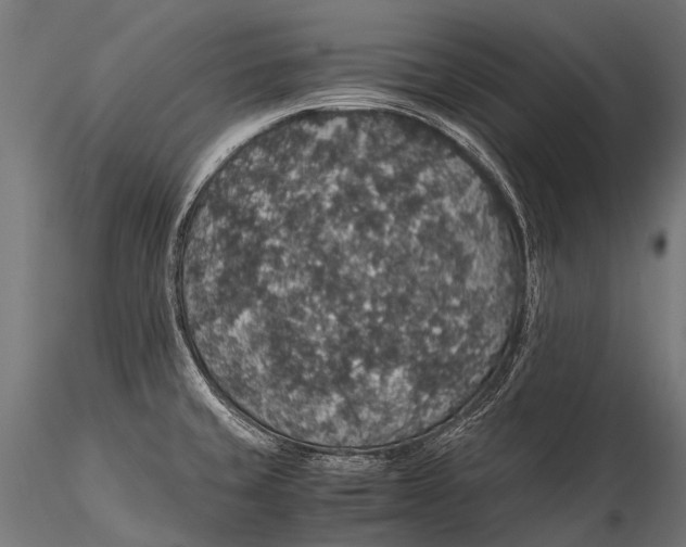 X0000116001429200912101306