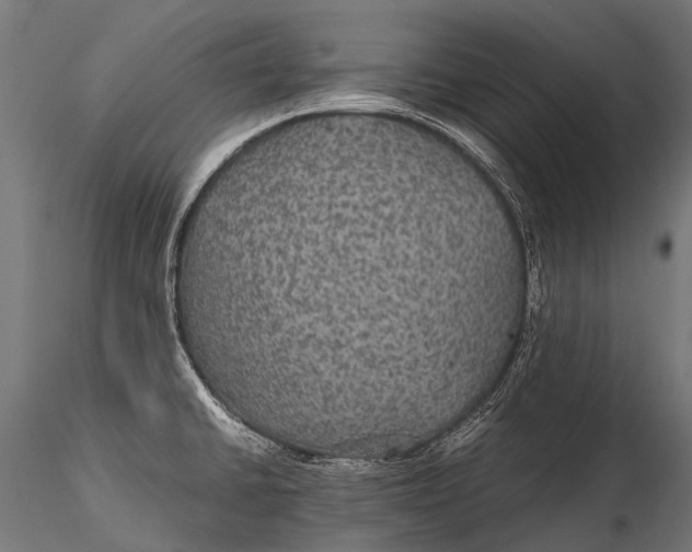 X0000116001430200912101306