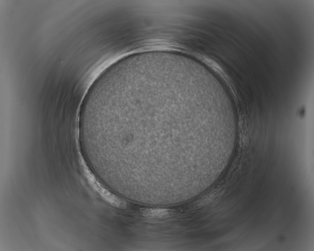 X0000116001431200912101306