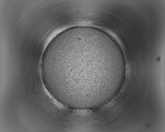 X0000116001432200912101306