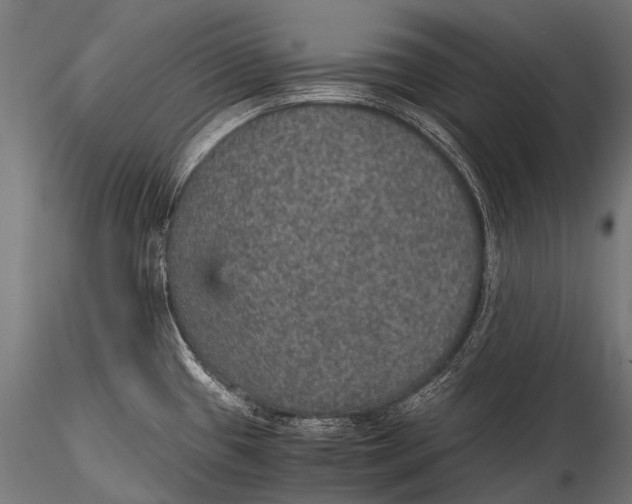 X0000116001433200912101306