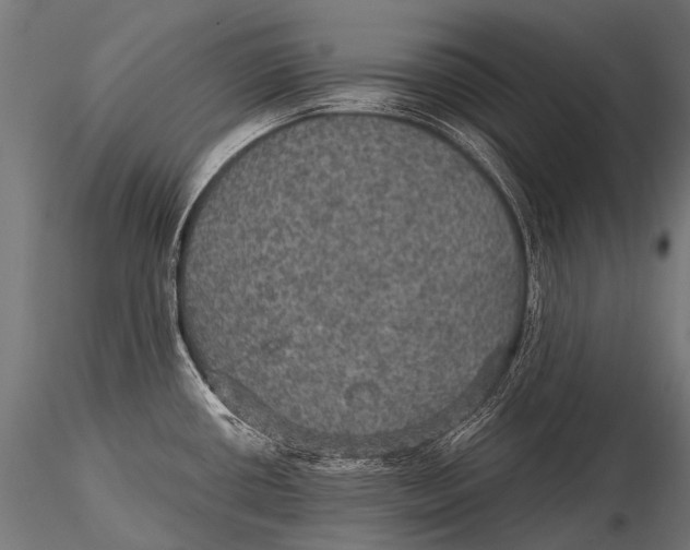 X0000116001434200912101306