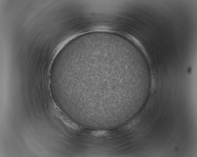 X0000116001435200912101306