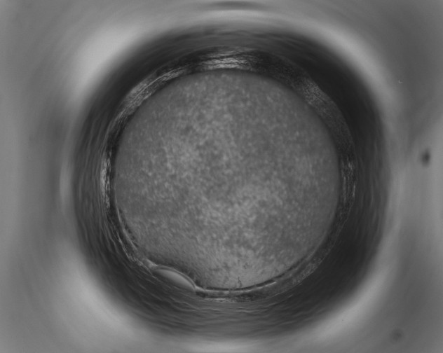 X0000116001438200912101306