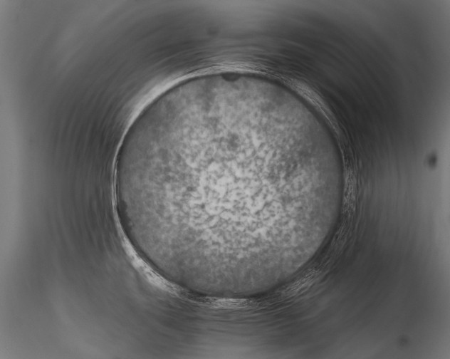 X0000116001439200912101306