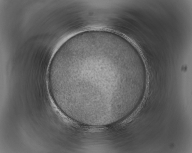 X0000116001440200912101306