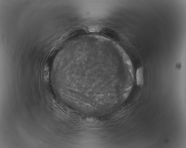 X0000116001443200912101305