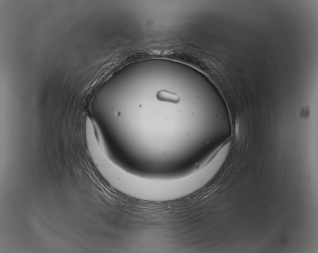 X0000116001444200912101305