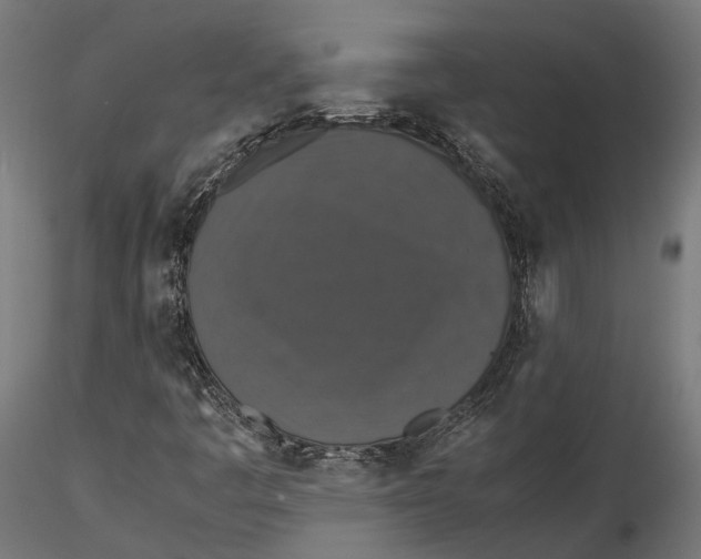 X0000116001445200912101305