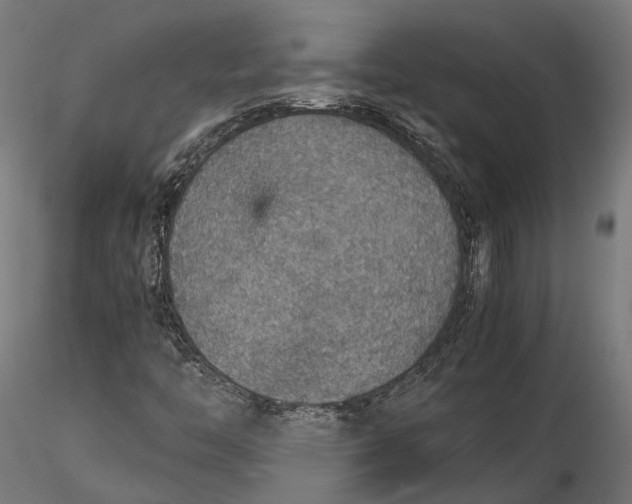 X0000116001446200912101305