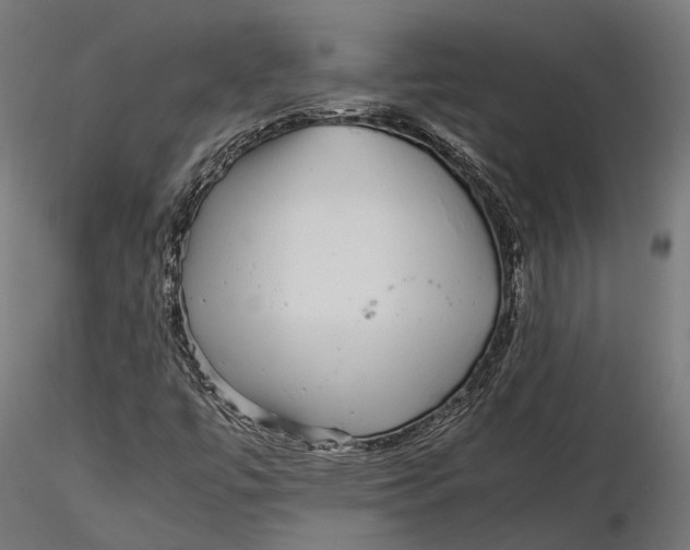 X0000116001447200912101305