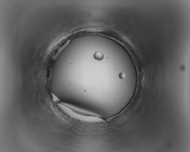 X0000116001448200912101305