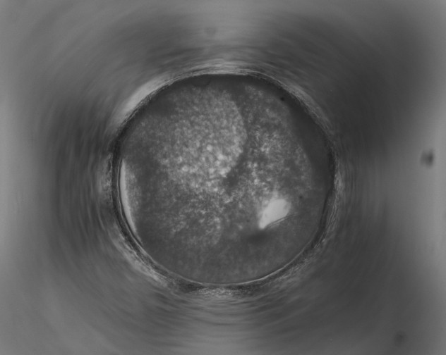 X0000116001450200912101305