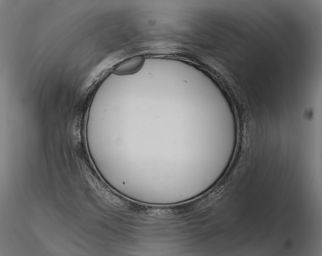 X0000116001451200912101305