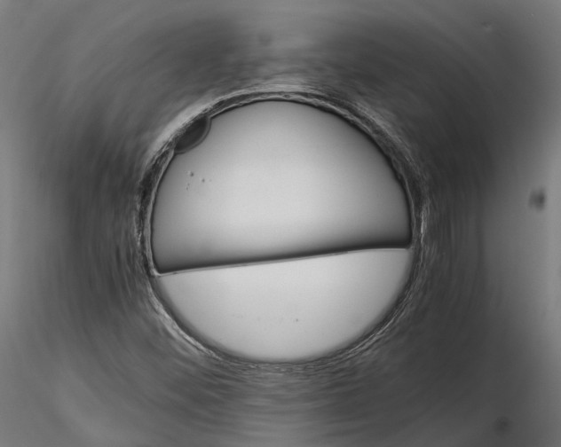 X0000116001452200912101305