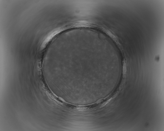 X0000116001453200912101305