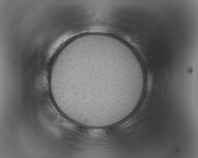 X0000116001454200912101305