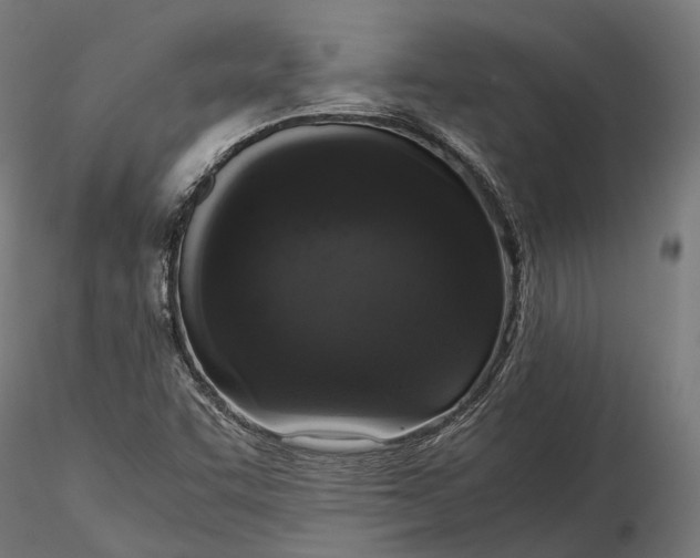 X0000116001455200912101305