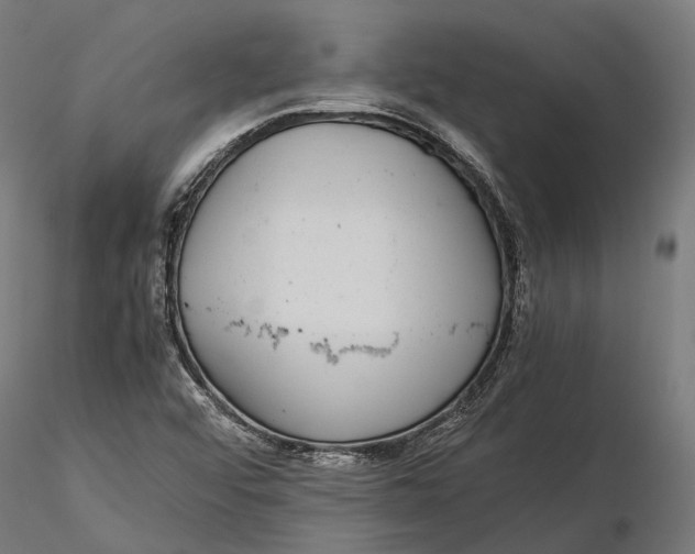 X0000116001456200912101305