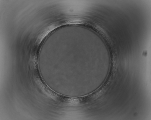 X0000116001457200912101305