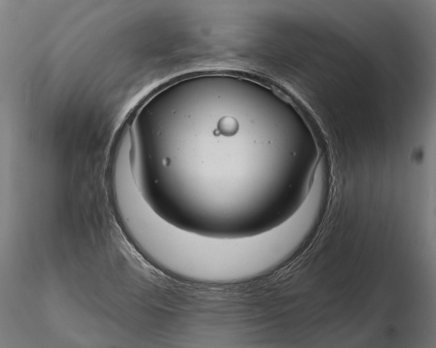 X0000116001460200912101305