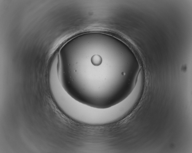 X0000116001461200912101305