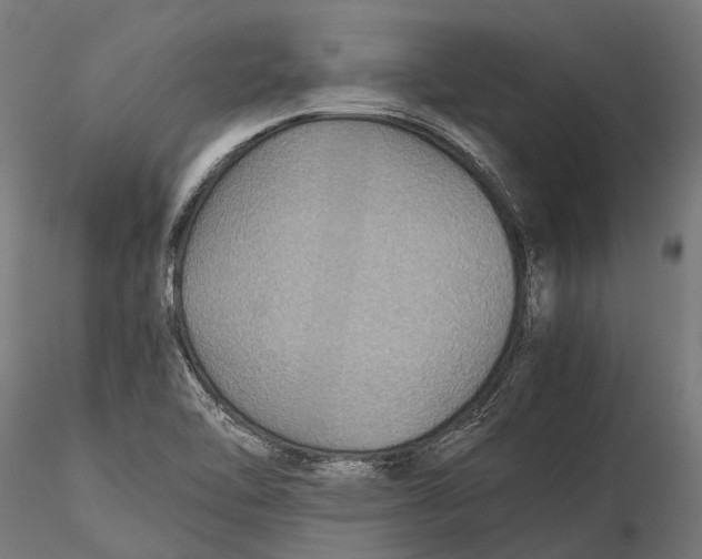 X0000116001462200912101305