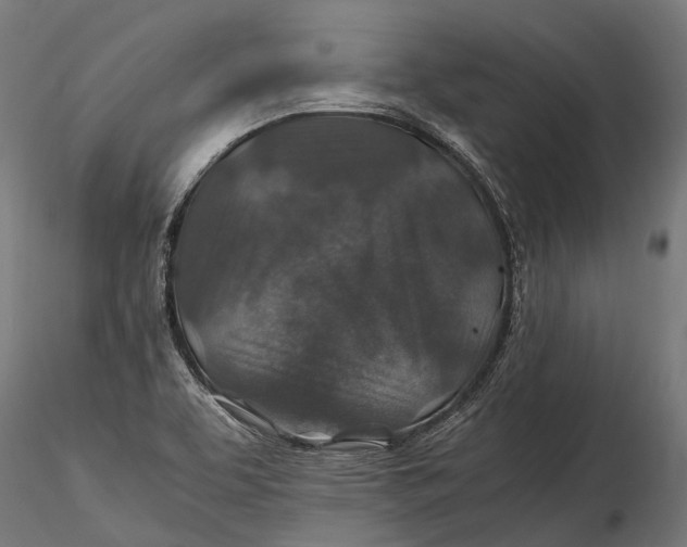 X0000116001463200912101305