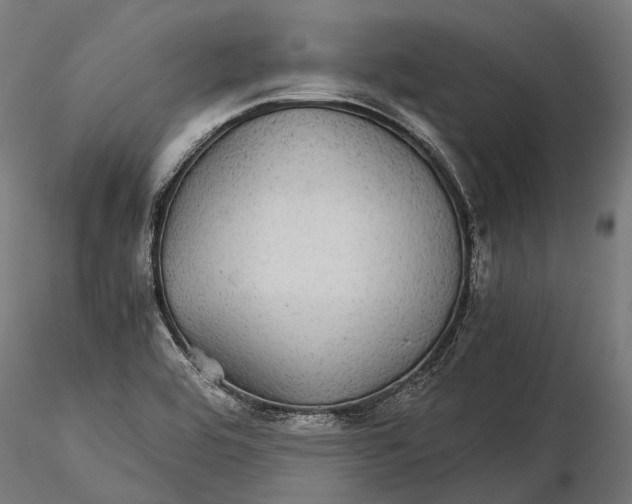 X0000116001464200912101305