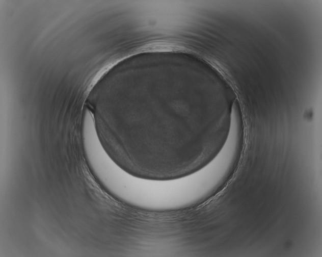 X0000116001465200912101305