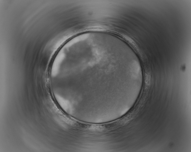 X0000116001466200912101305